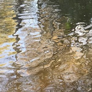 Meet your Posher, Anani